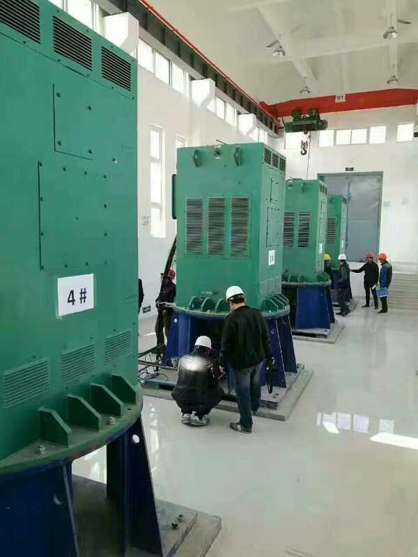 都江堰某污水处理厂使用我厂的立式高压电机安装现场