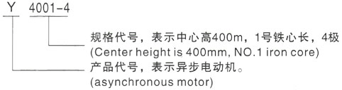西安泰富西玛Y系列(H355-1000)高压都江堰三相异步电机型号说明